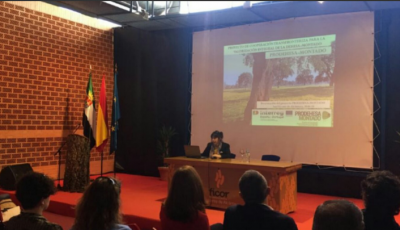 El proyecto PRODEHESA MONTADO en FICOR