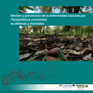 CICYTEX y el centro de investigación luso INIAV editan un manual con medidas para el control de la seca