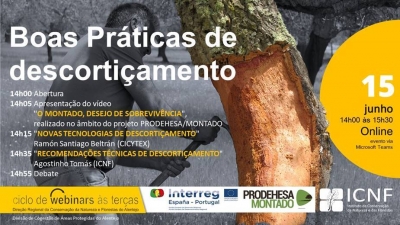Webinar Boas Práticas de descortiçamento