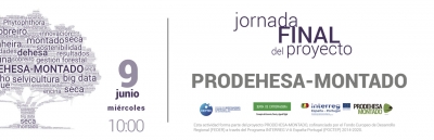 JORNADA FINAL DEL PROYECTO PRODEHESA-MONTADO